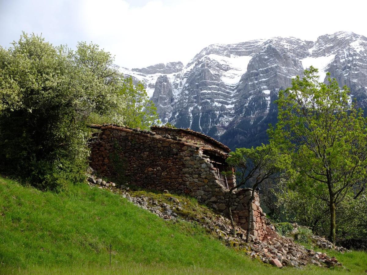 Cal Sansa Villa Cava Kültér fotó